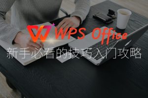 WPS便捷插入音视频